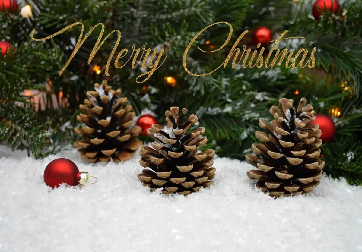 Mery Christmas