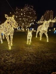 Winter Wonderland Praha Letňany